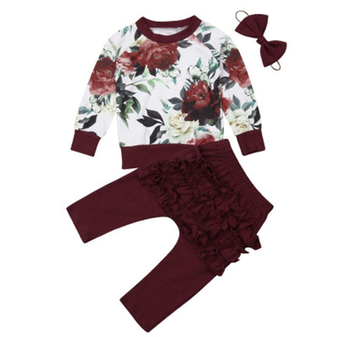 Baby Girl Long Sleeve Flower Ruffle Outfit