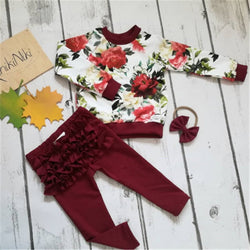 Baby Girl Long Sleeve Flower Ruffle Outfit