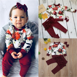 Baby Girl Long Sleeve Flower Ruffle Outfit